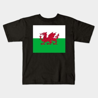 Wales (Cymru) - The Welsh Dragon Flag - Plain and Simple Kids T-Shirt